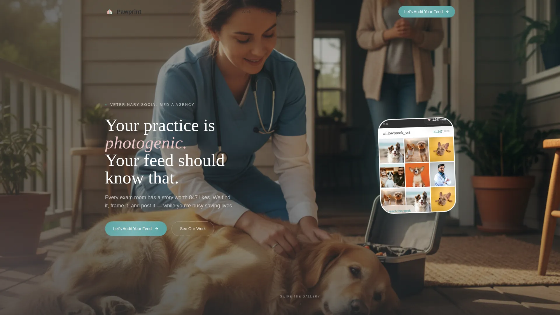Veterinary Social Media Agency Landing Page