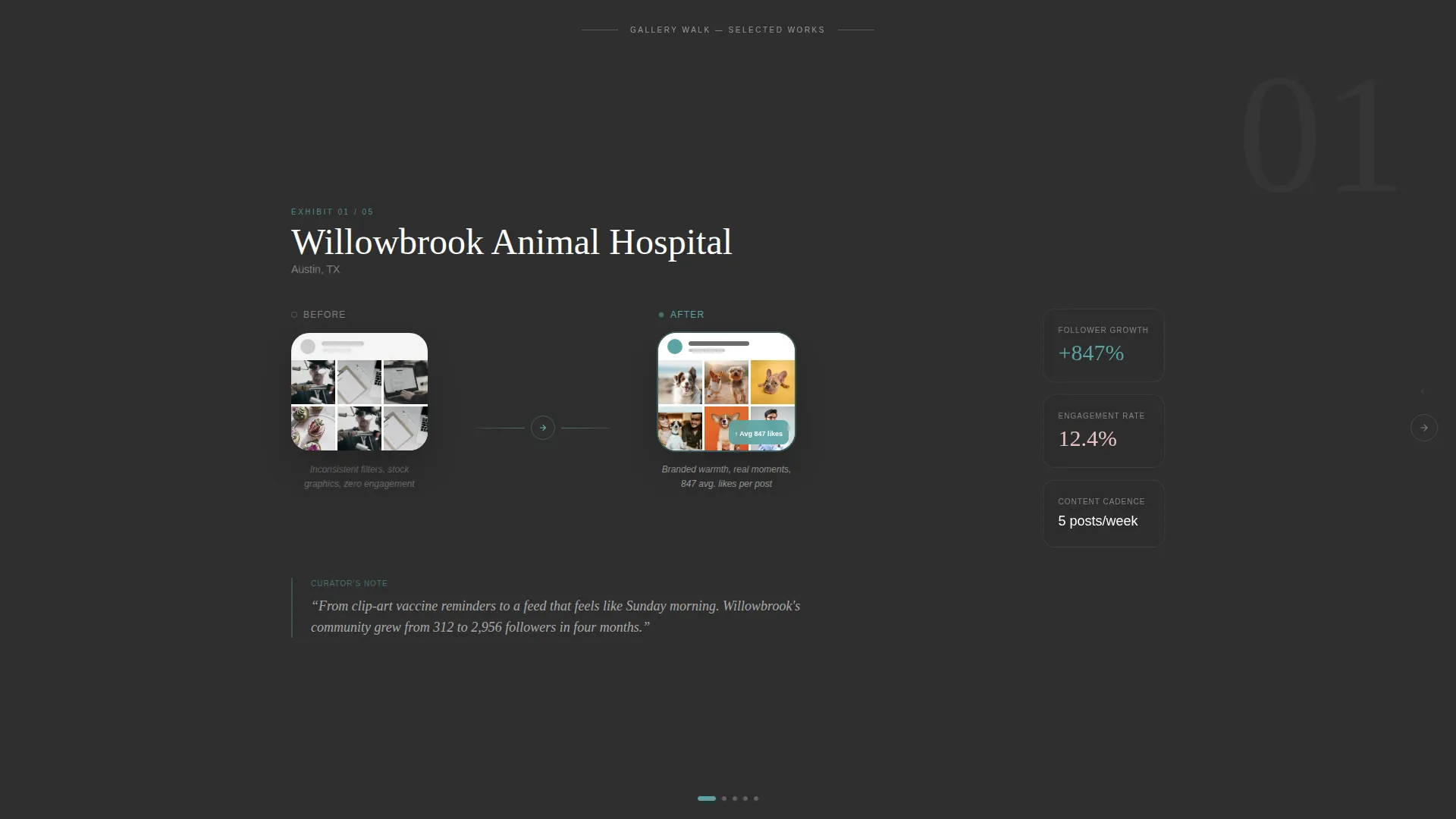 Veterinary Social Media Agency Landing Page