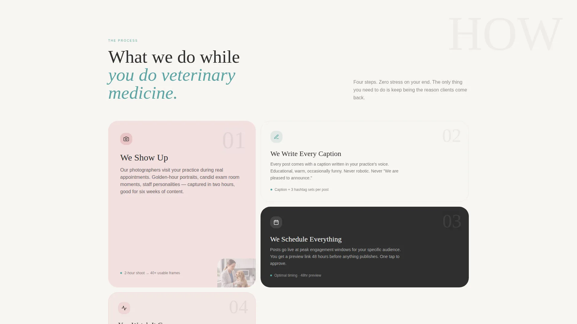 Veterinary Social Media Agency Landing Page
