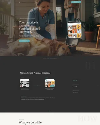 Veterinary Social Media Agency Landing Page