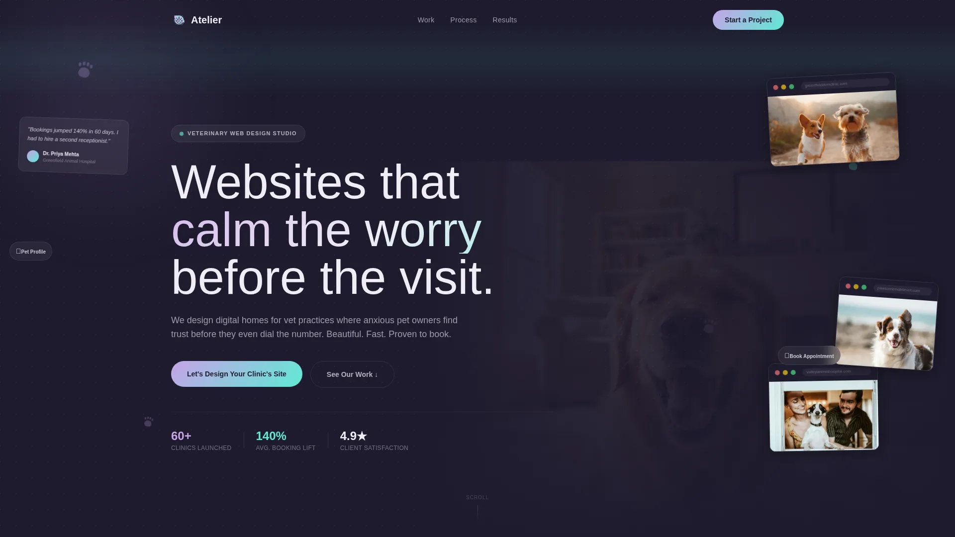Veterinary Web Design Agency Landing Page Template