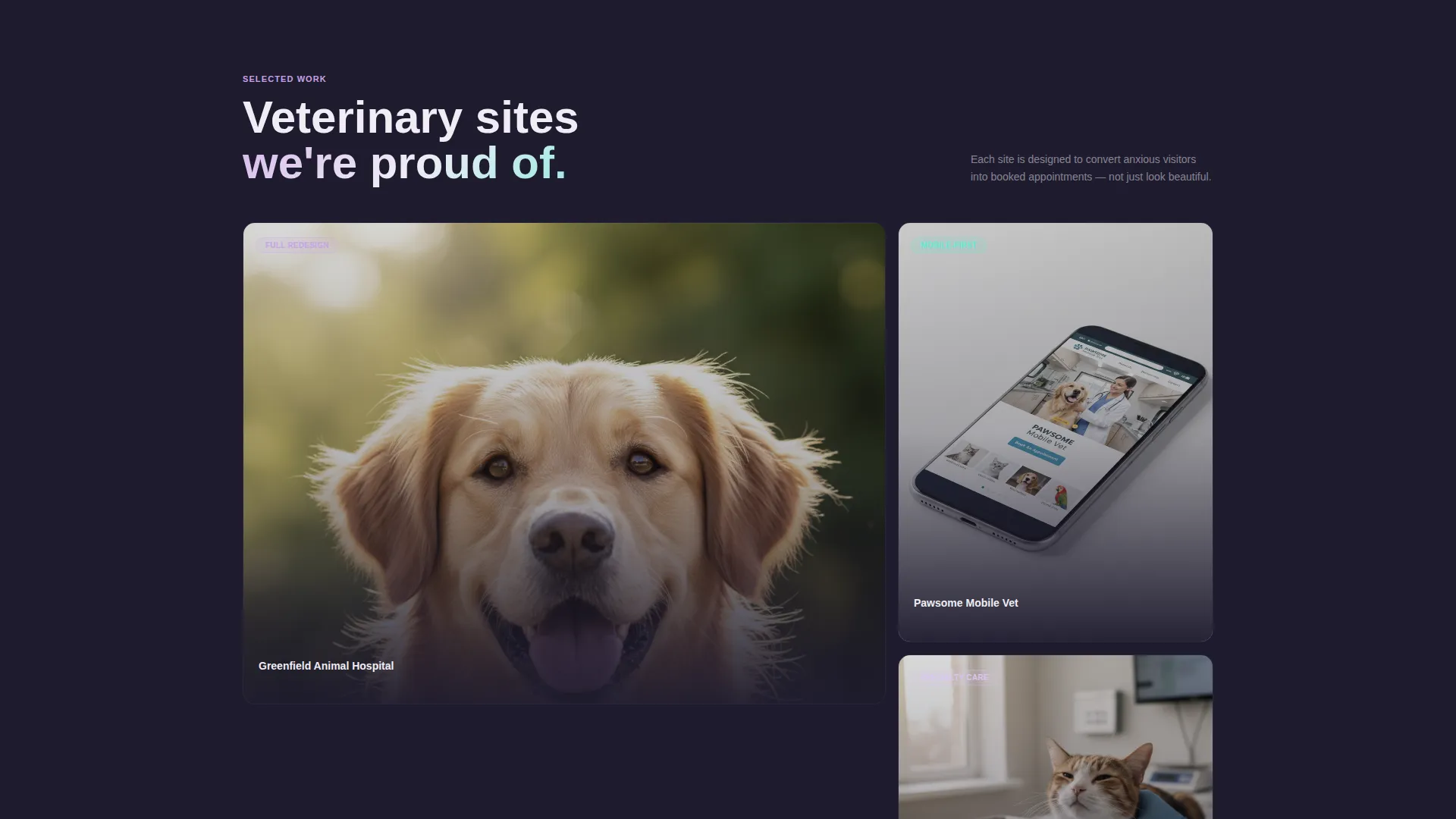 Veterinary Web Design Agency Landing Page Template