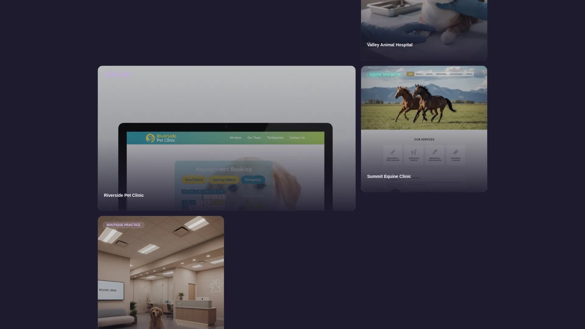 Veterinary Web Design Agency Landing Page Template
