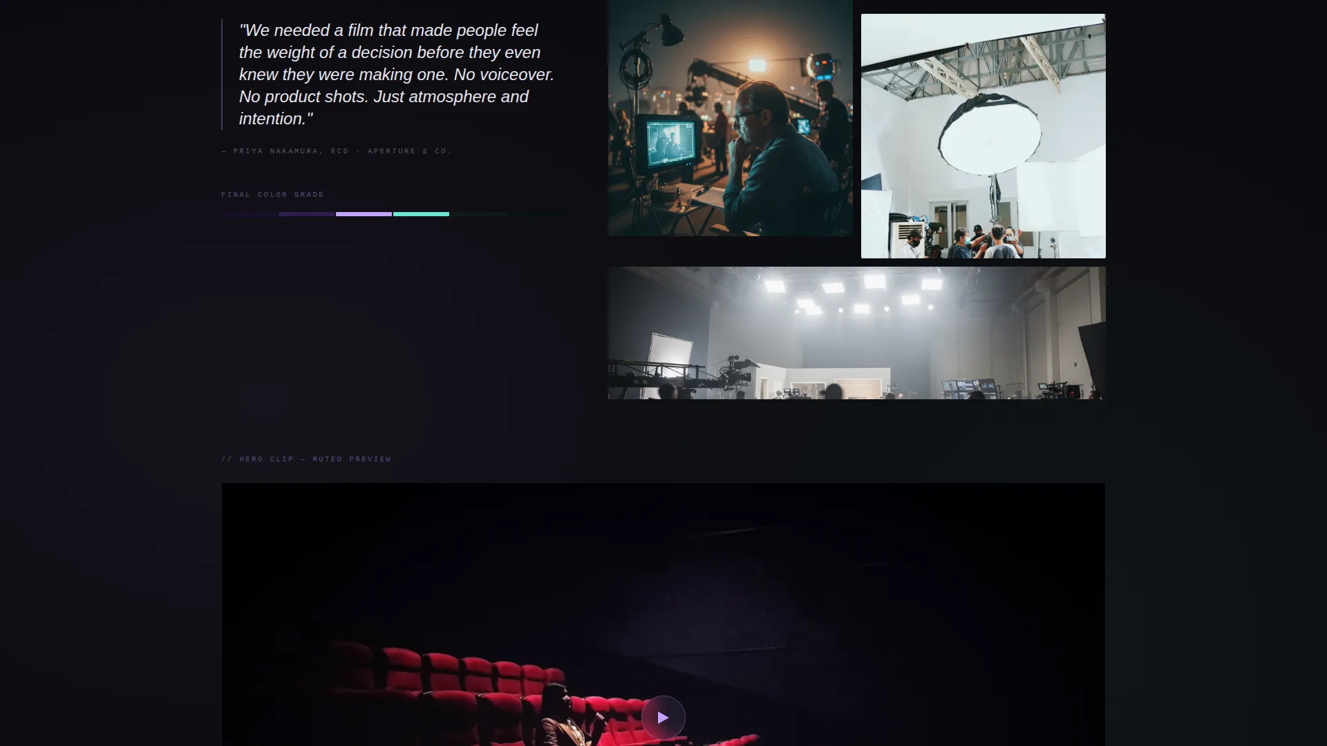 Videographer Portfolio Portfolio Website Template