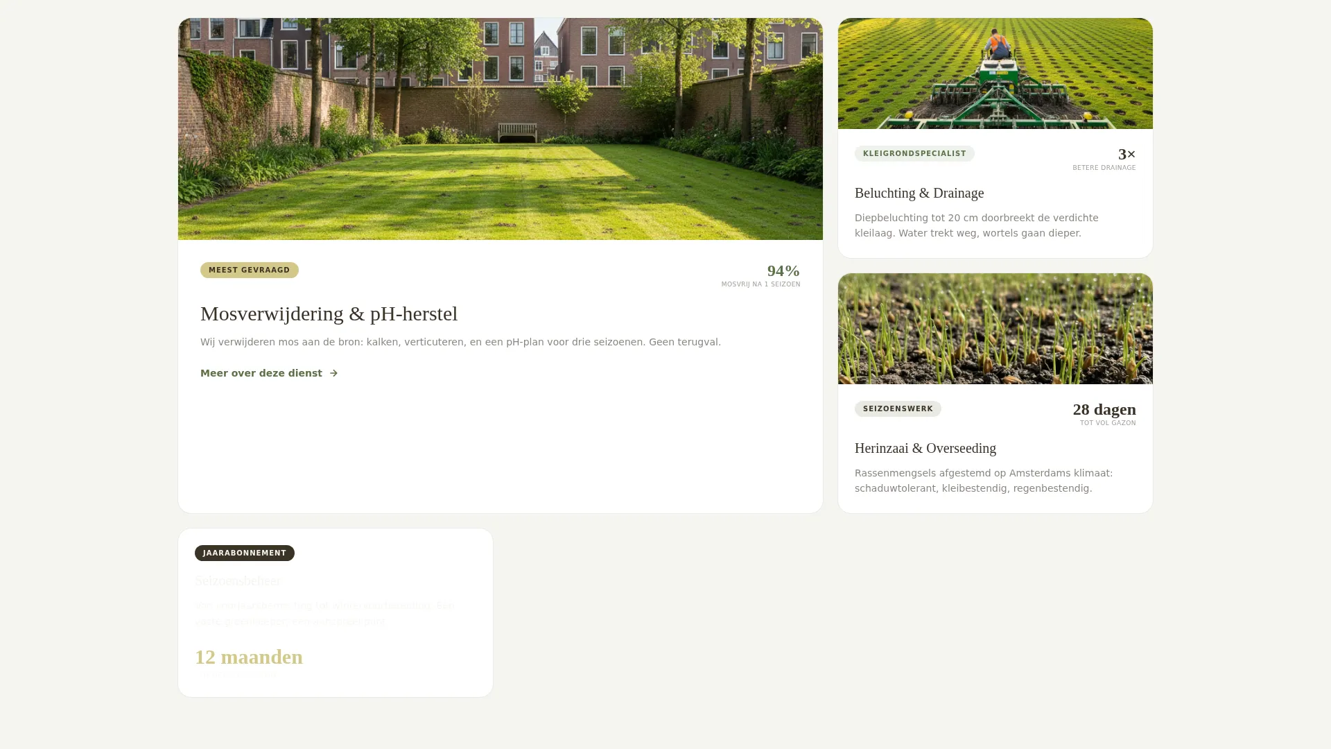 Local Business Expert Booking Website Template