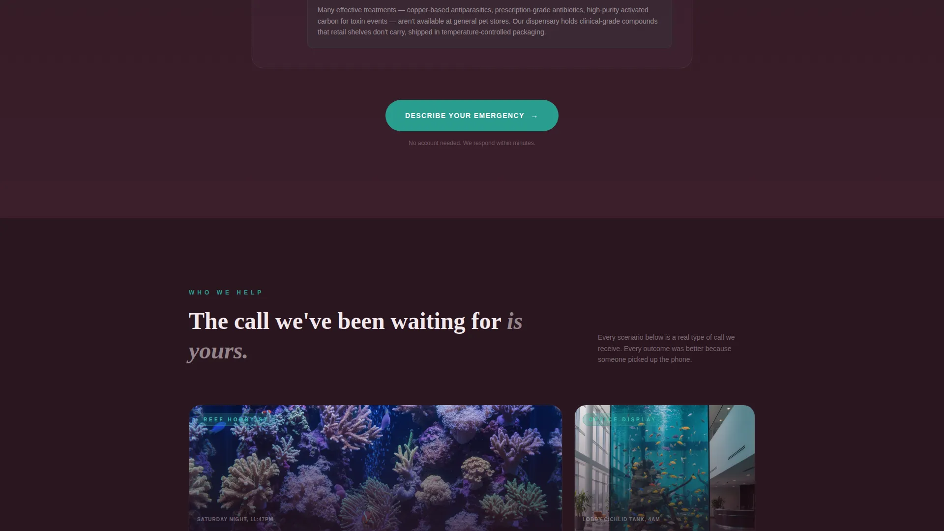 Emergency Aquarium Service Landing Page Template