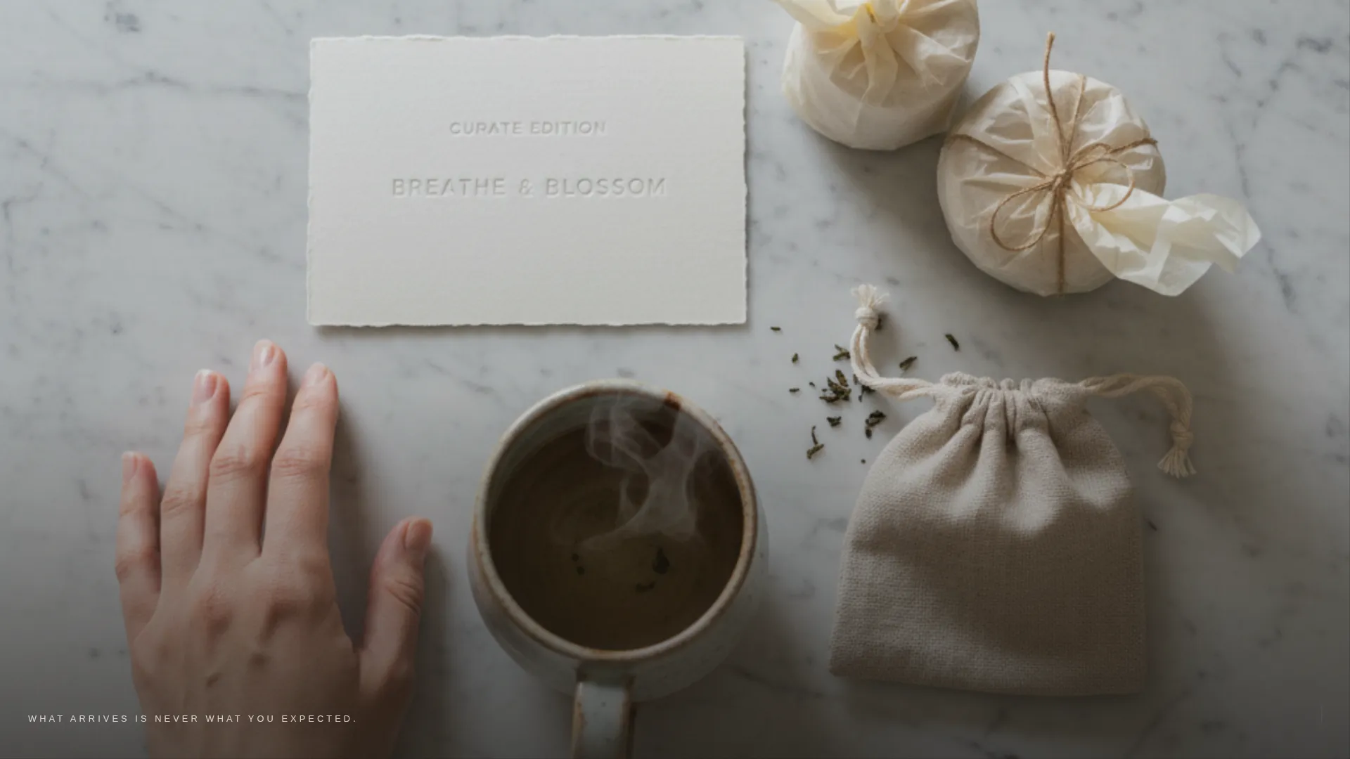 Avant-Garde Subscription Box Landing Page Template
