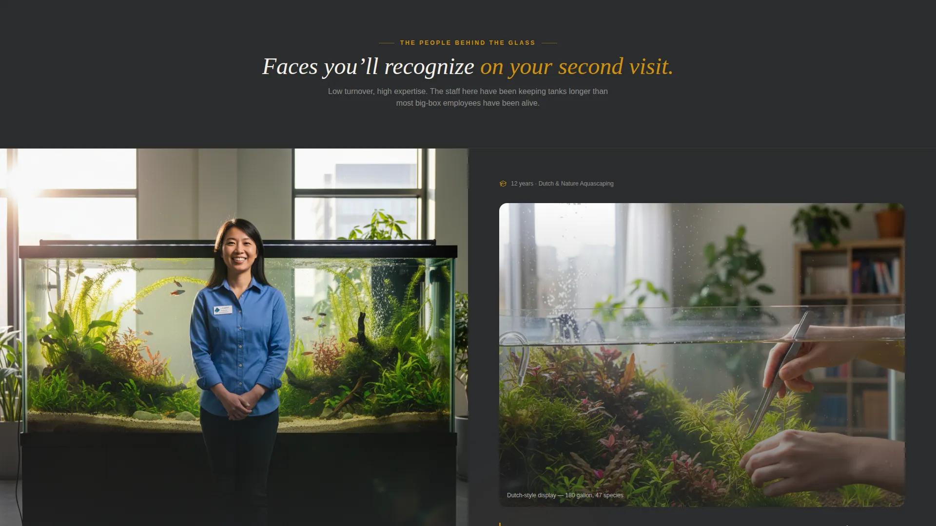 Aquarium Store Landing Page Template