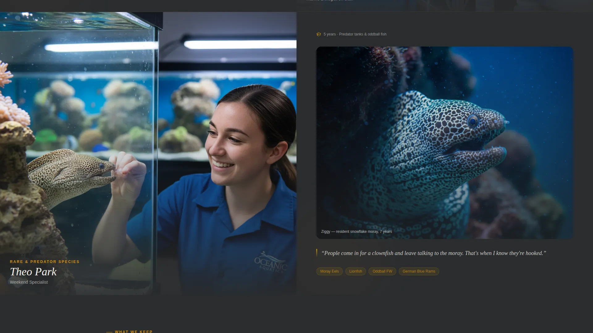 Aquarium Store Landing Page Template