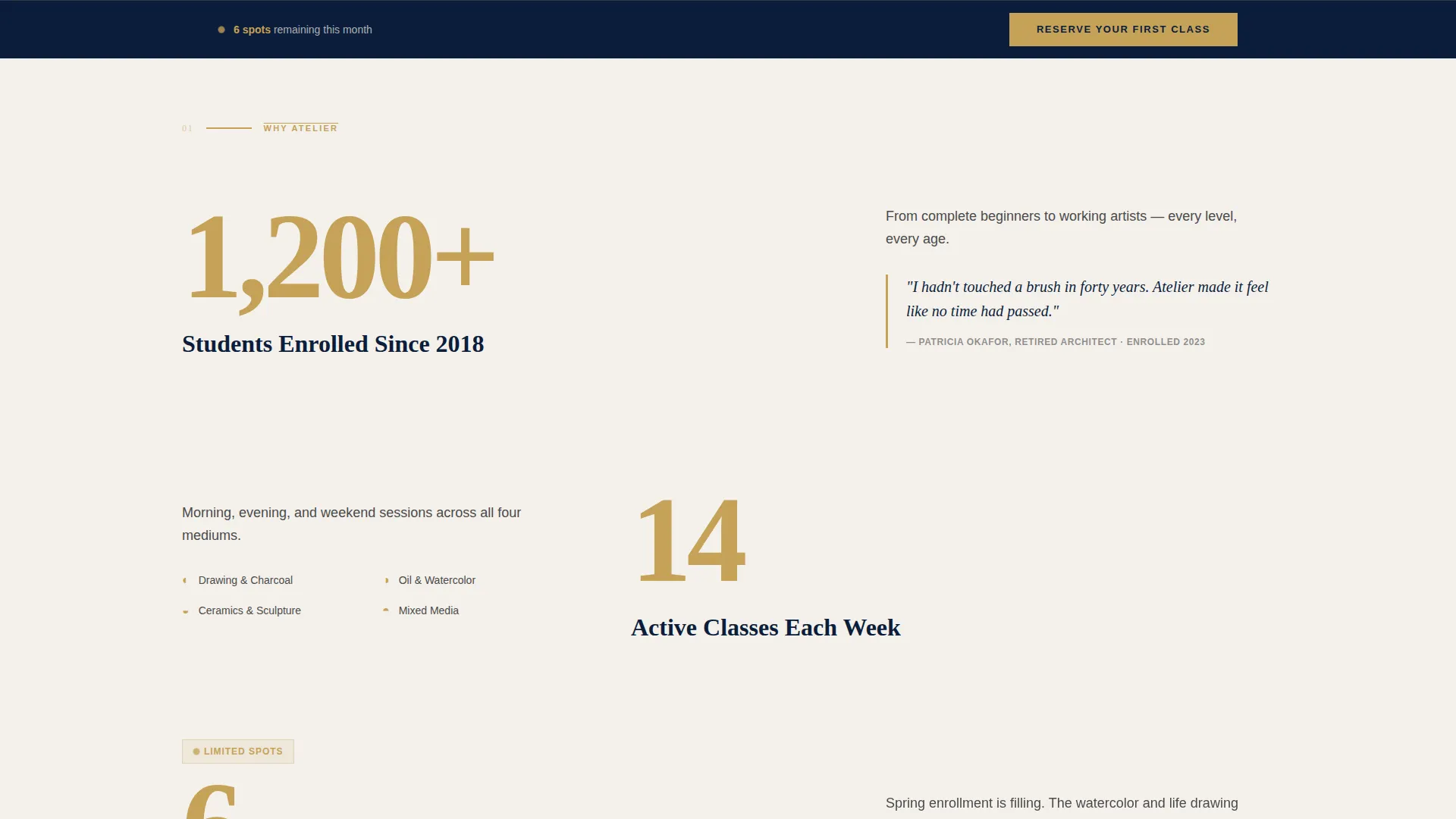 Art School Marketing Portfolio & Case Study Website Template