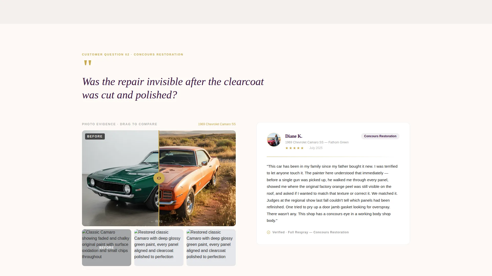 Automotive Painter Customer Review Landing Page