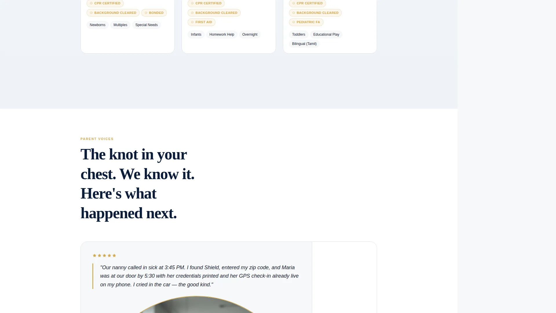 Babysitting Service Marketing Booking Website Template