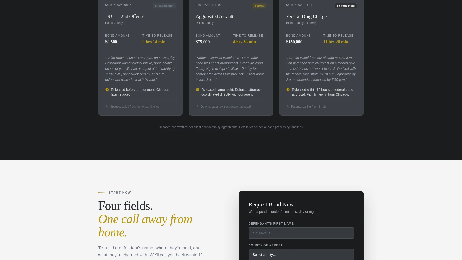 Bail Bondsman Landing Page Template