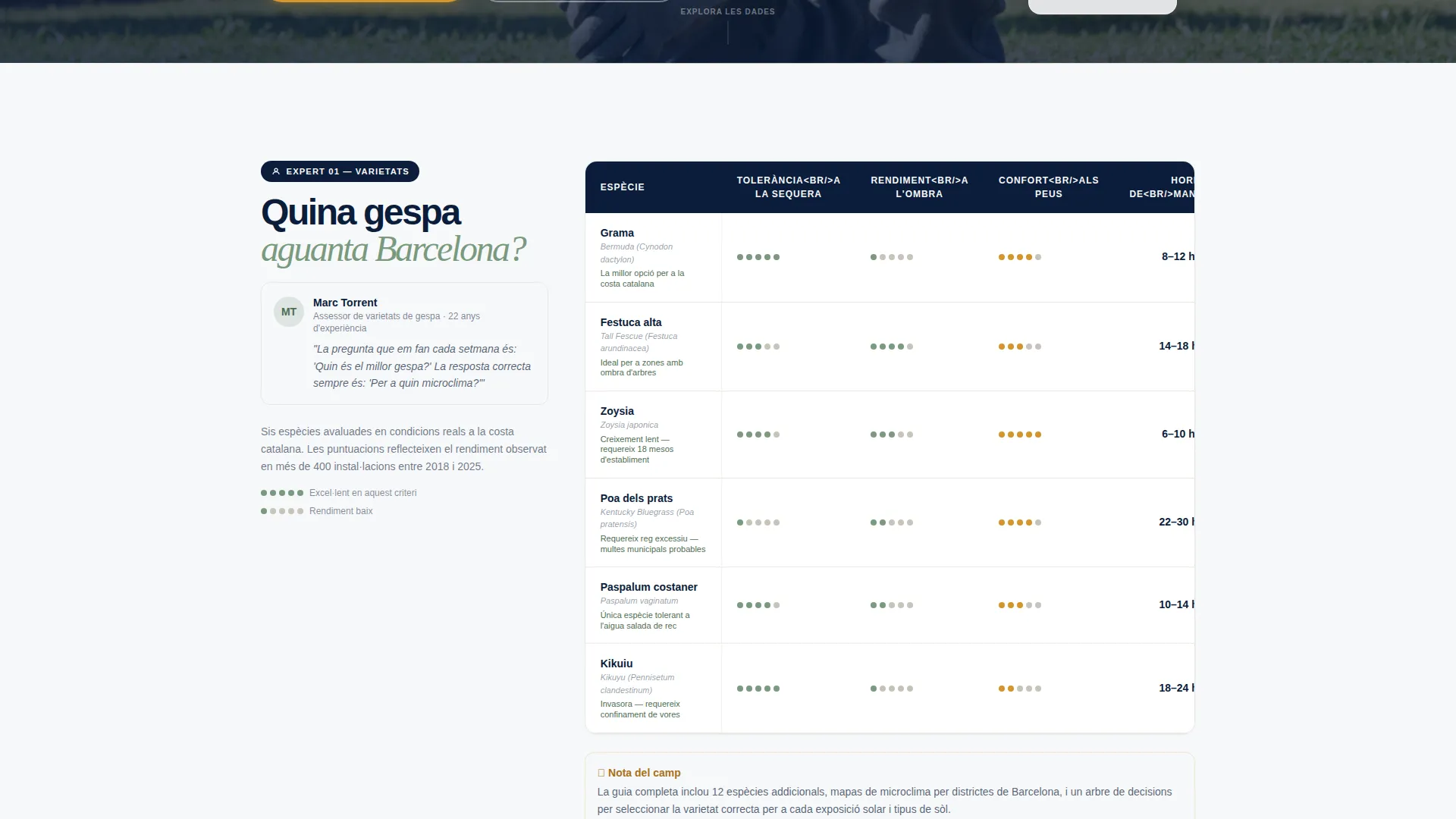 Authoritative Lawncare | Free Website Template | Rocket