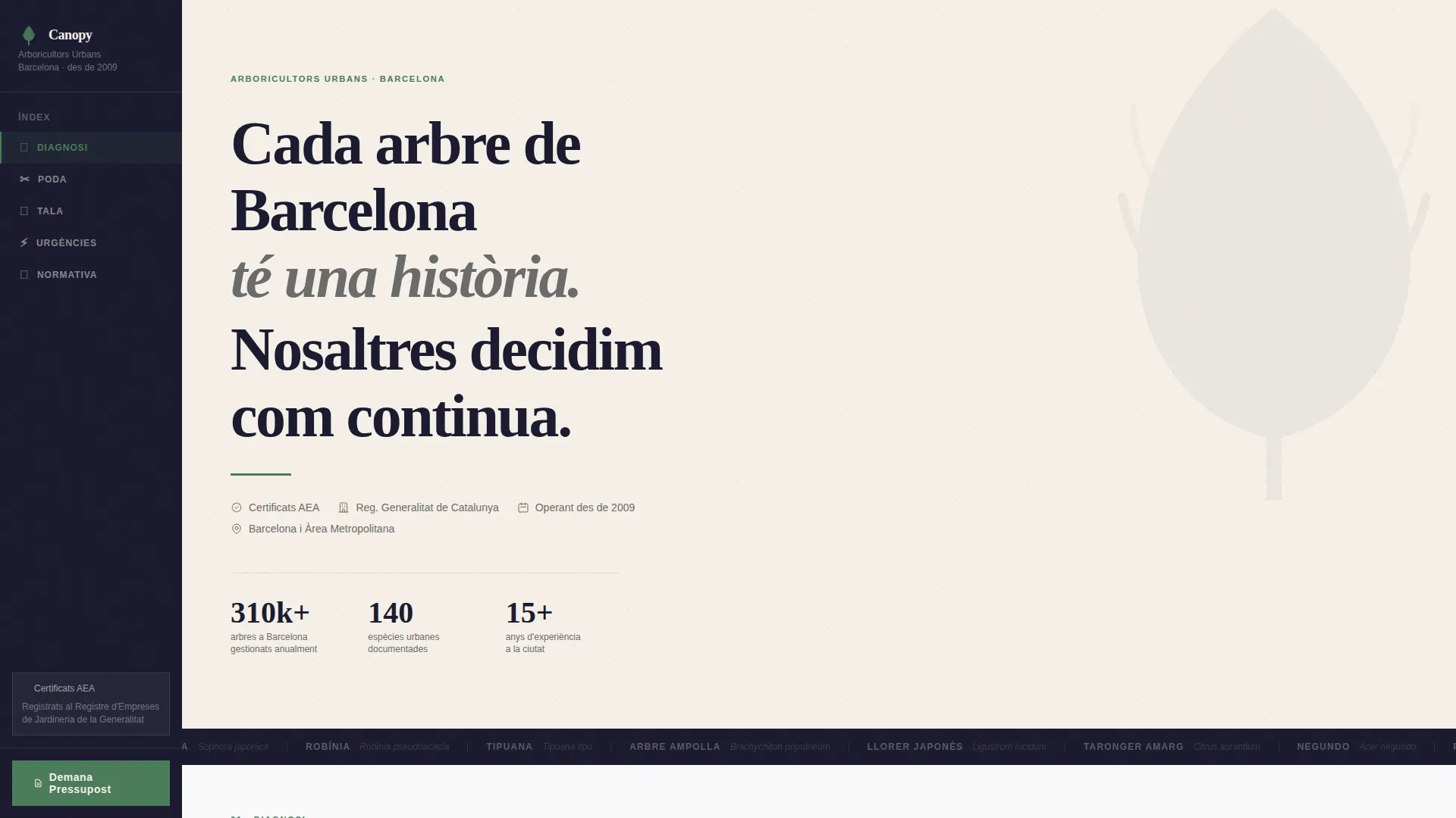 Trusted Arboricultural Services | Free Website Template | Rocket