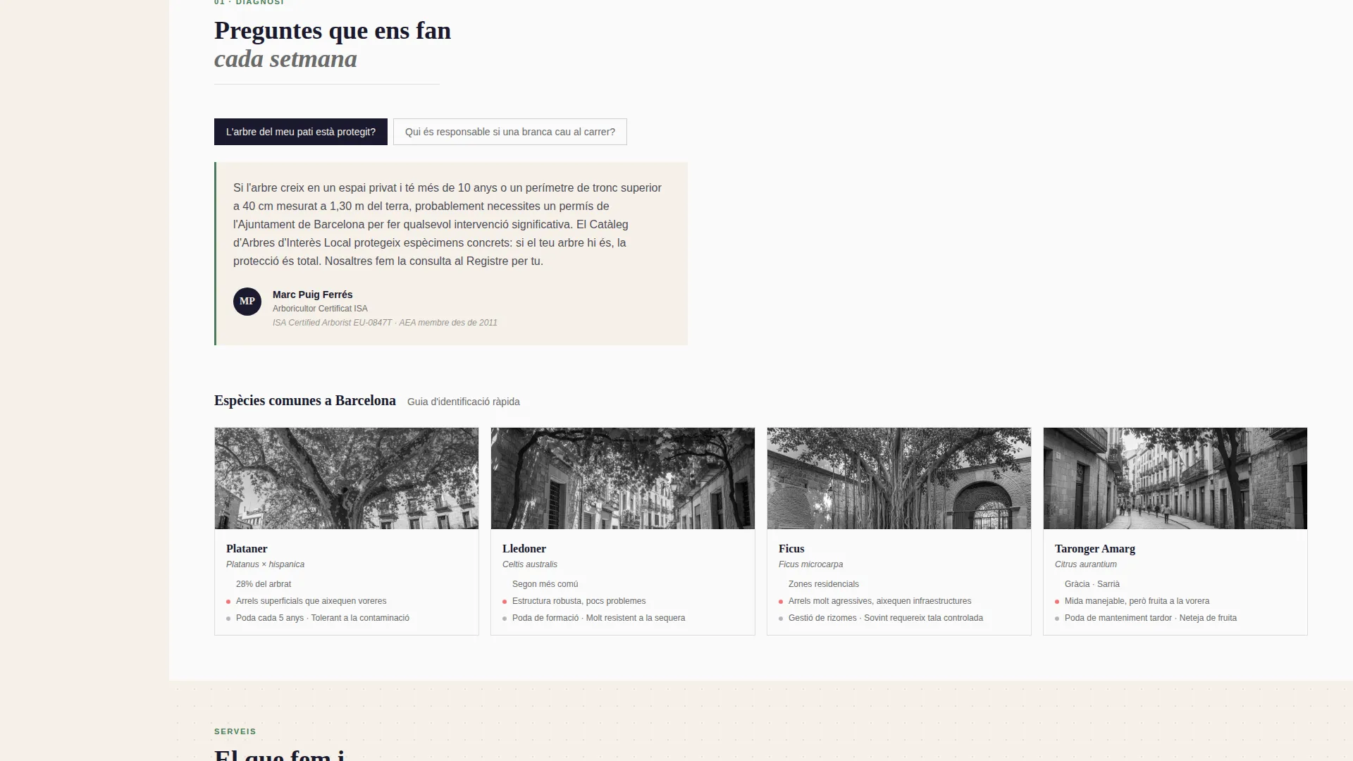 Trusted Arboricultural Services | Free Website Template | Rocket