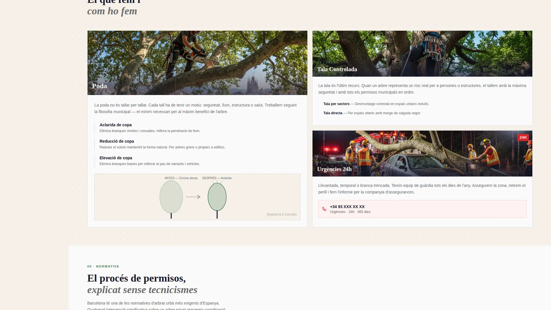 Trusted Arboricultural Services | Free Website Template | Rocket