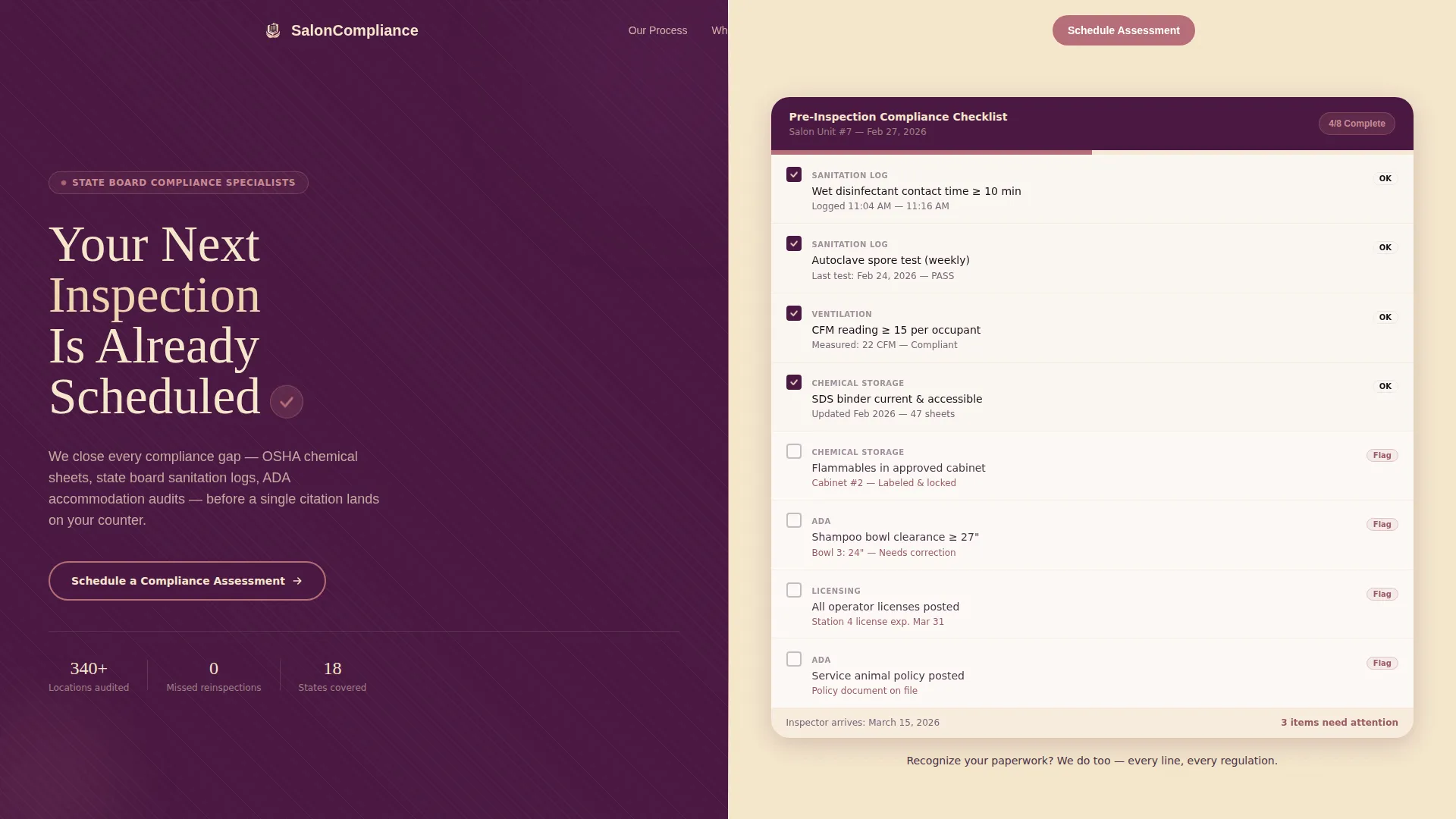 Salon Compliance Consultancy Landing Page Template