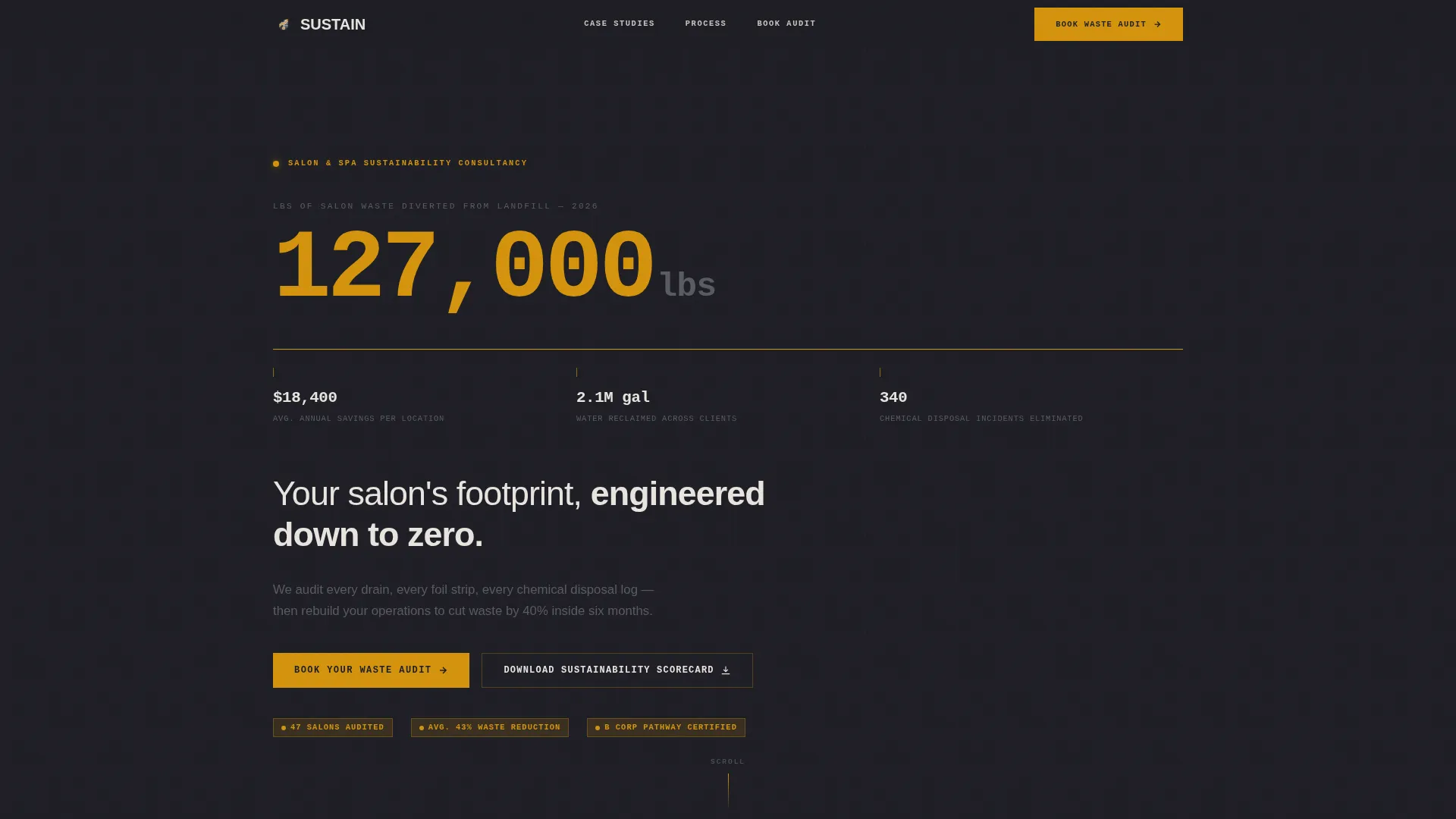 Beauty & Salon Sustainability Consultant Landing Page