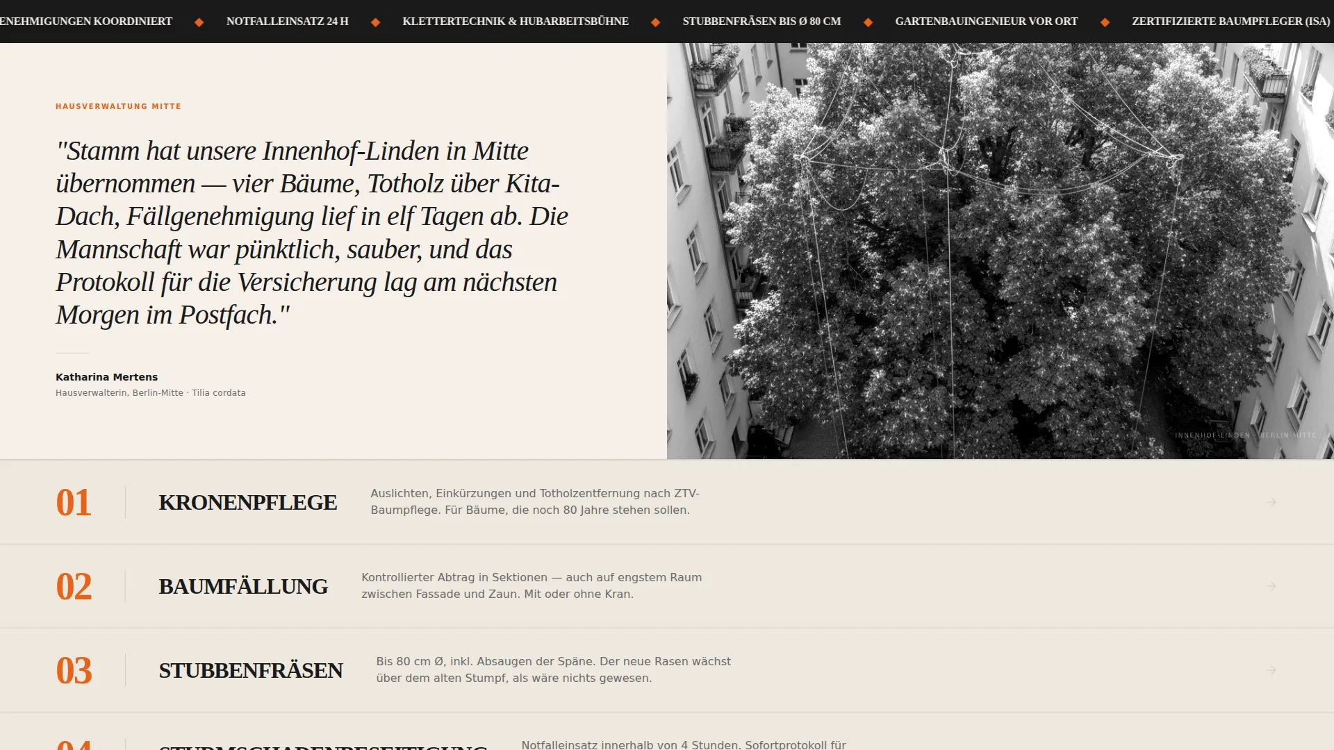 Modern Tree | Free Website Template | Rocket