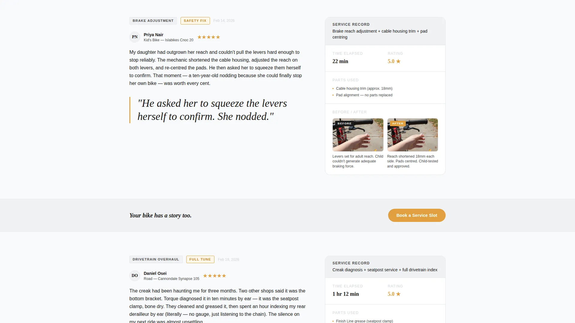 Bicycle Mechanic Review & Booking Landing Page