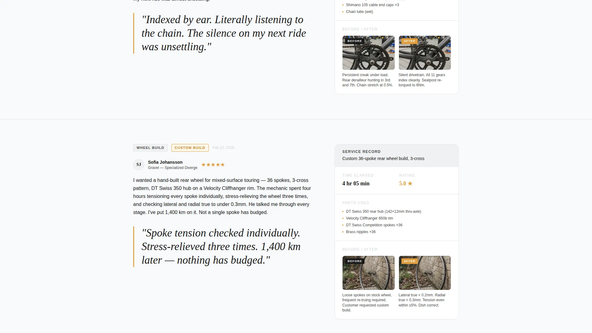 Bicycle Mechanic Review & Booking Landing Page