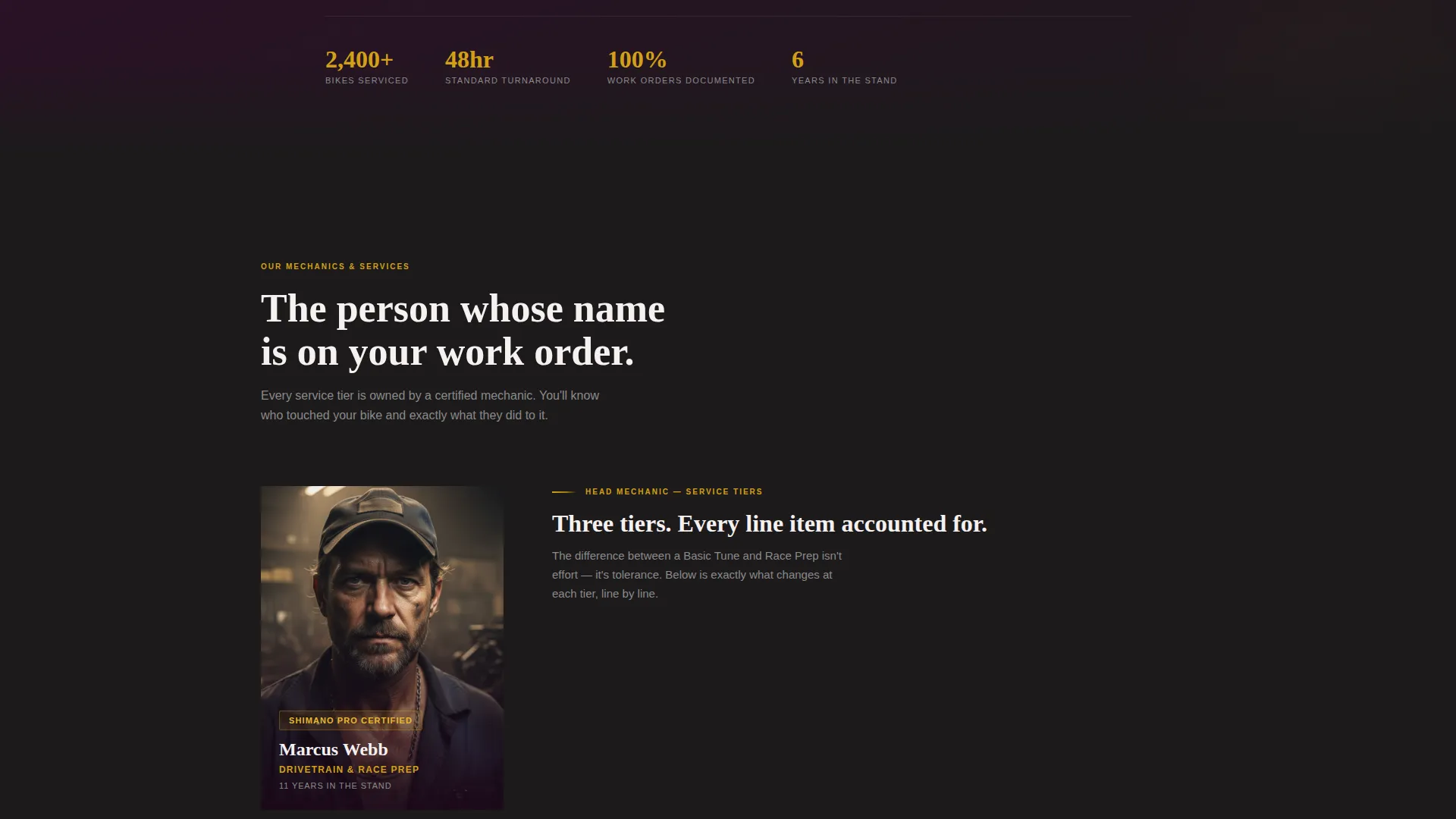 Precision Bicycle Mechanic Landing Page Template