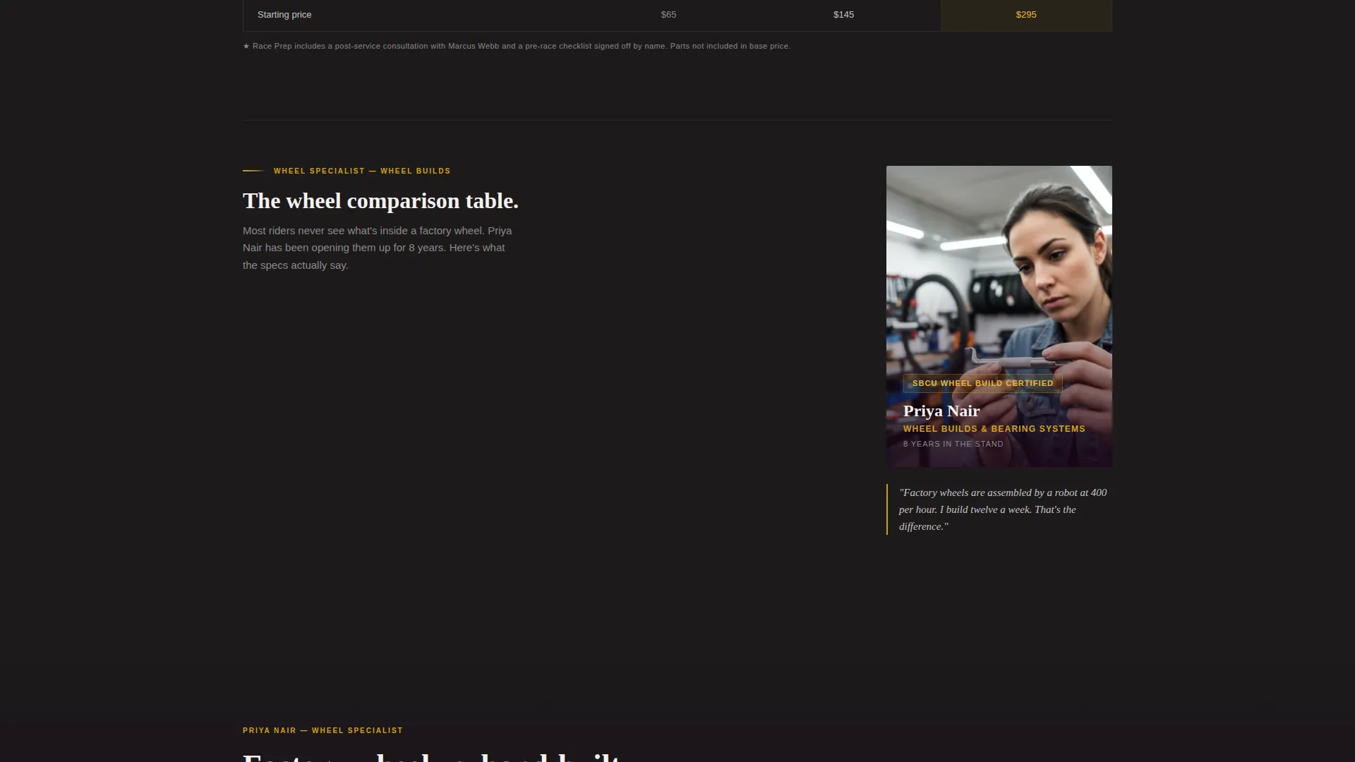 Precision Bicycle Mechanic Landing Page Template