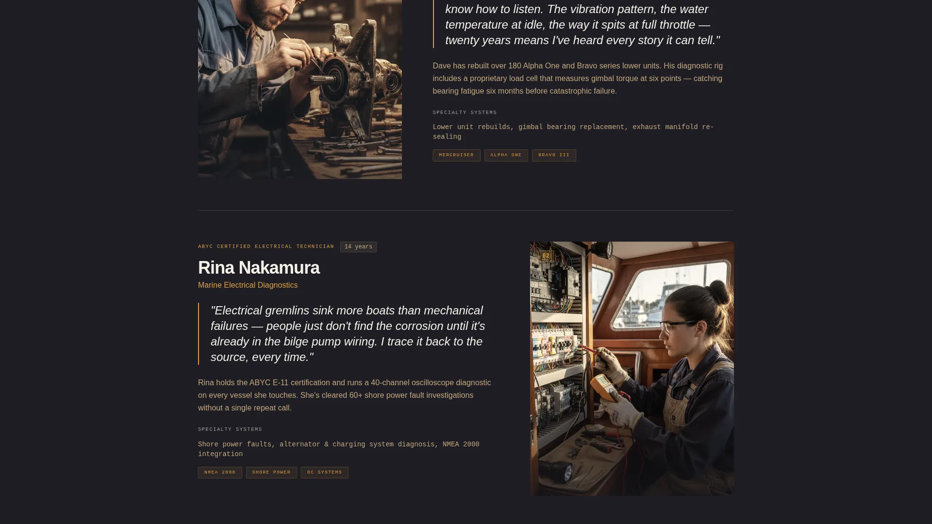 Boat Mechanic (Marine) Business Education Website Template