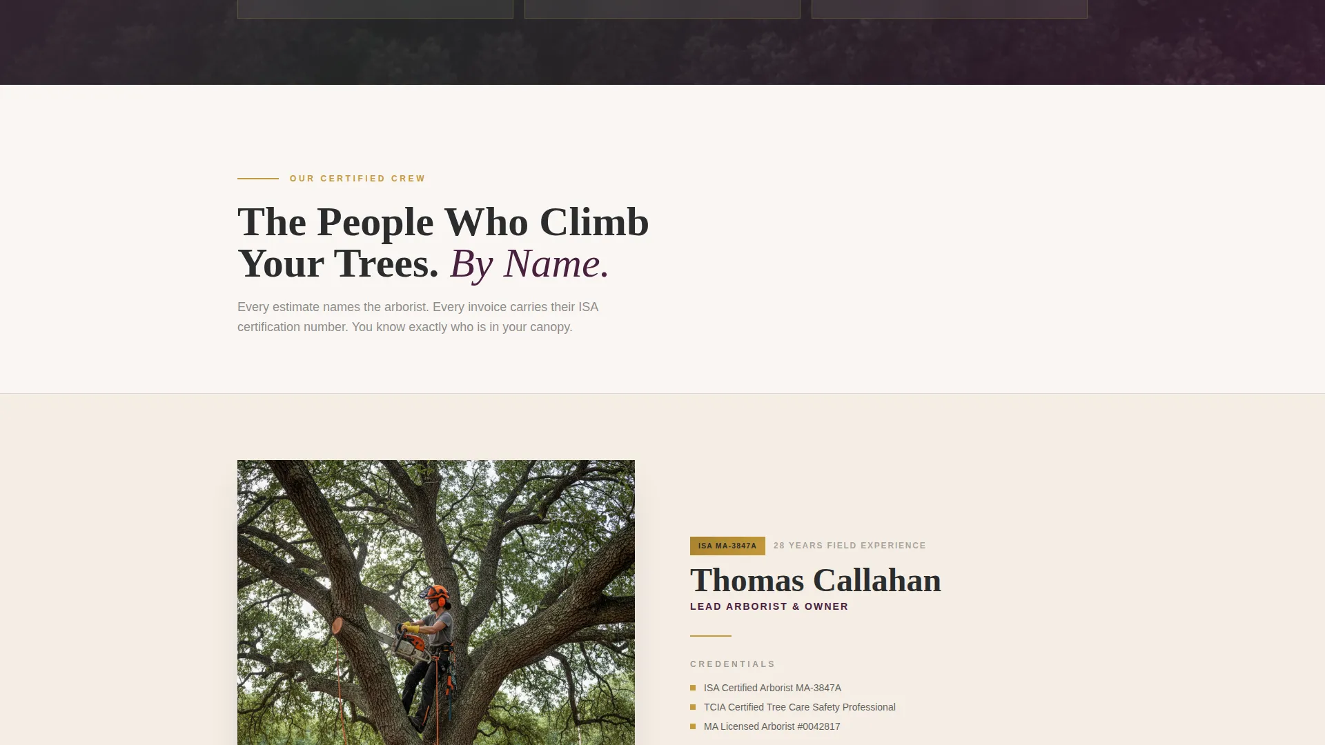 Trusted Treeservice | Free Website Template | Rocket