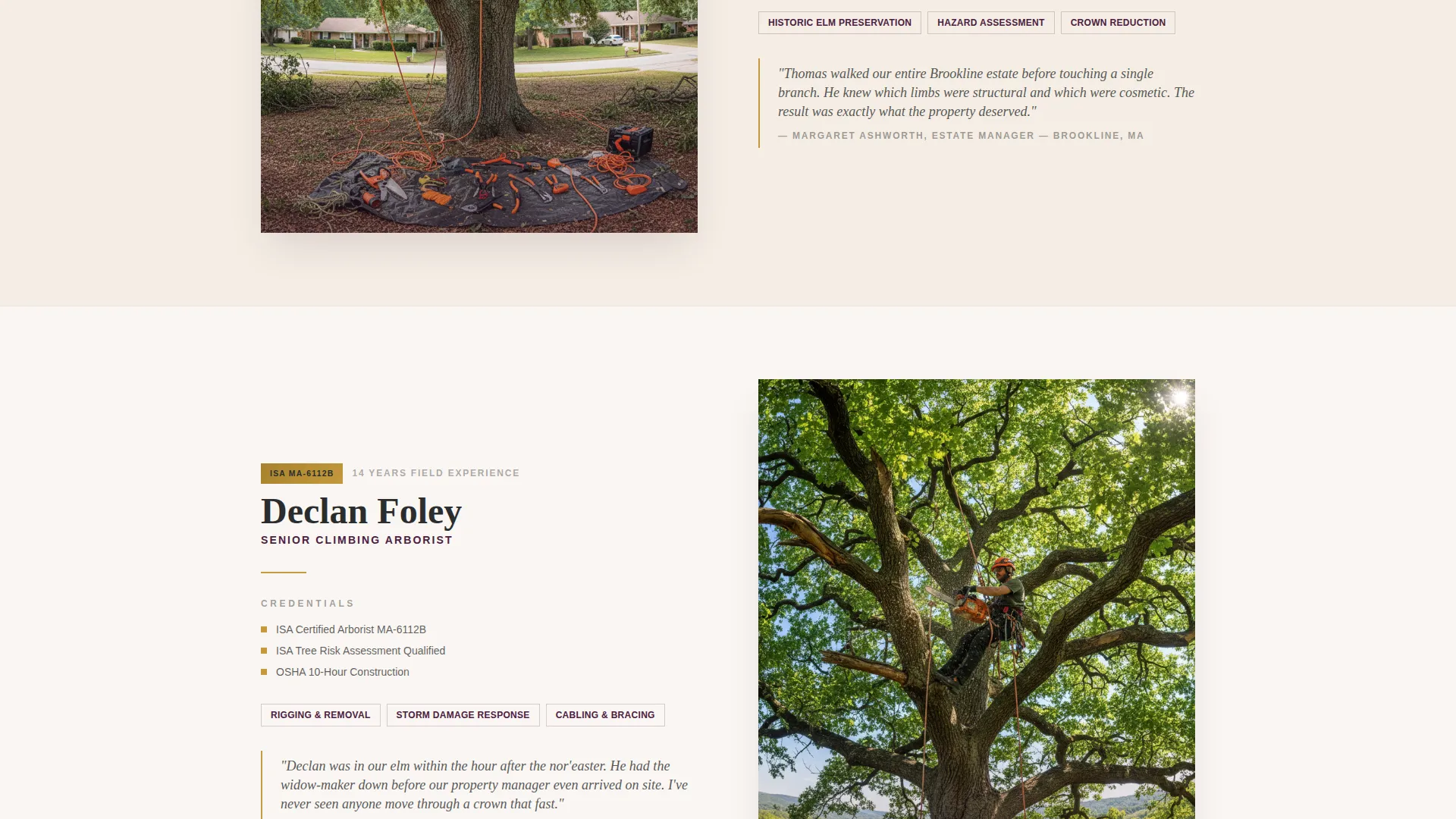 Trusted Treeservice | Free Website Template | Rocket
