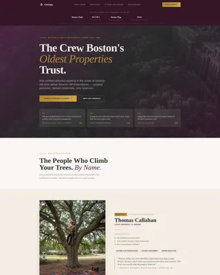 Trusted Treeservice | Free Website Template | Rocket