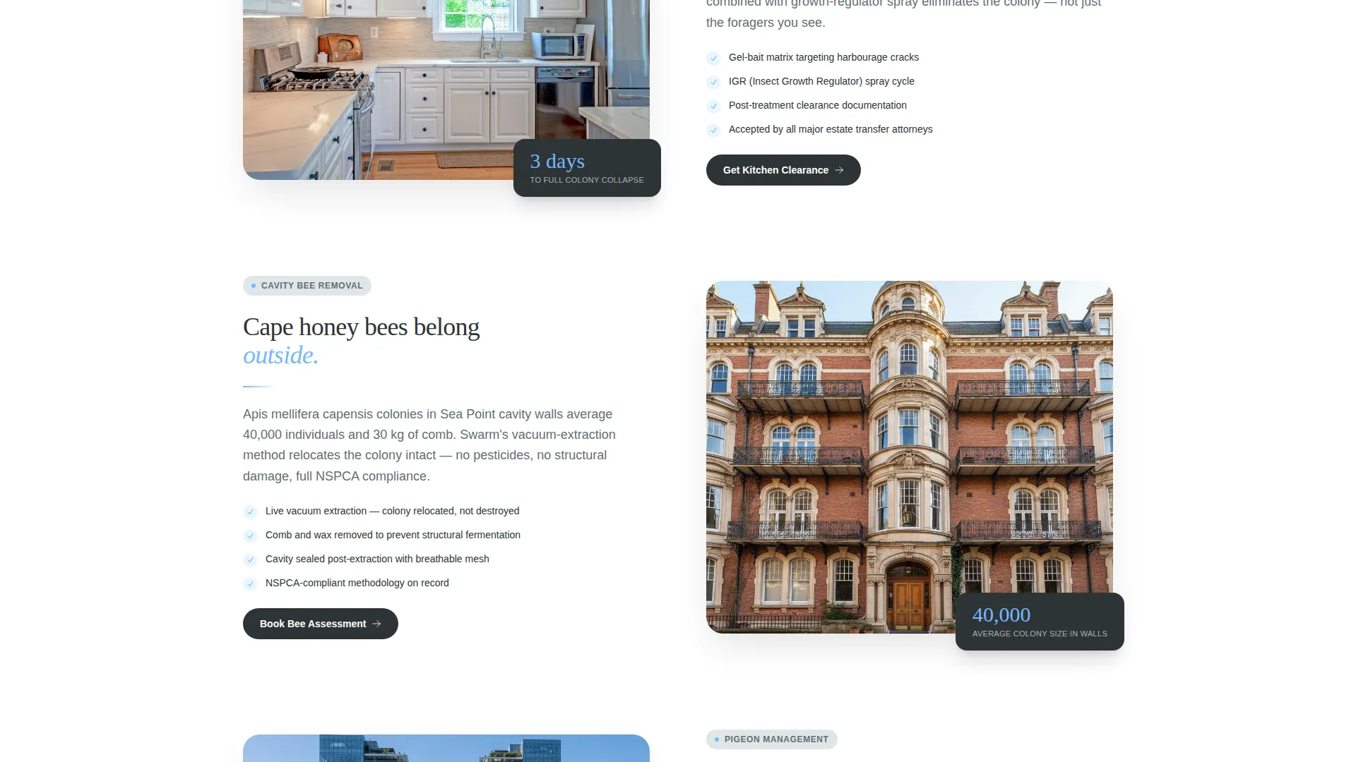 Proven Pest Management | Free Website Template | Rocket