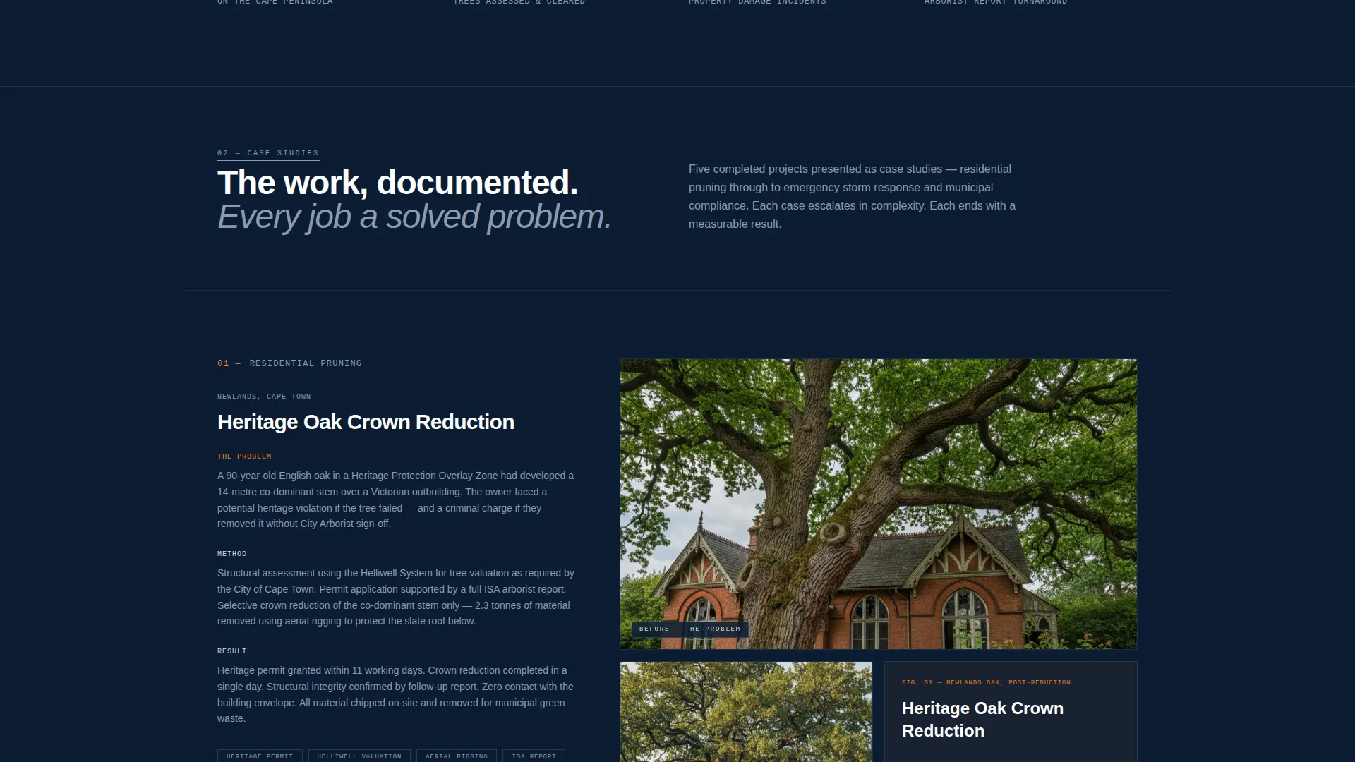 Precision Arborist | Free Website Template | Rocket