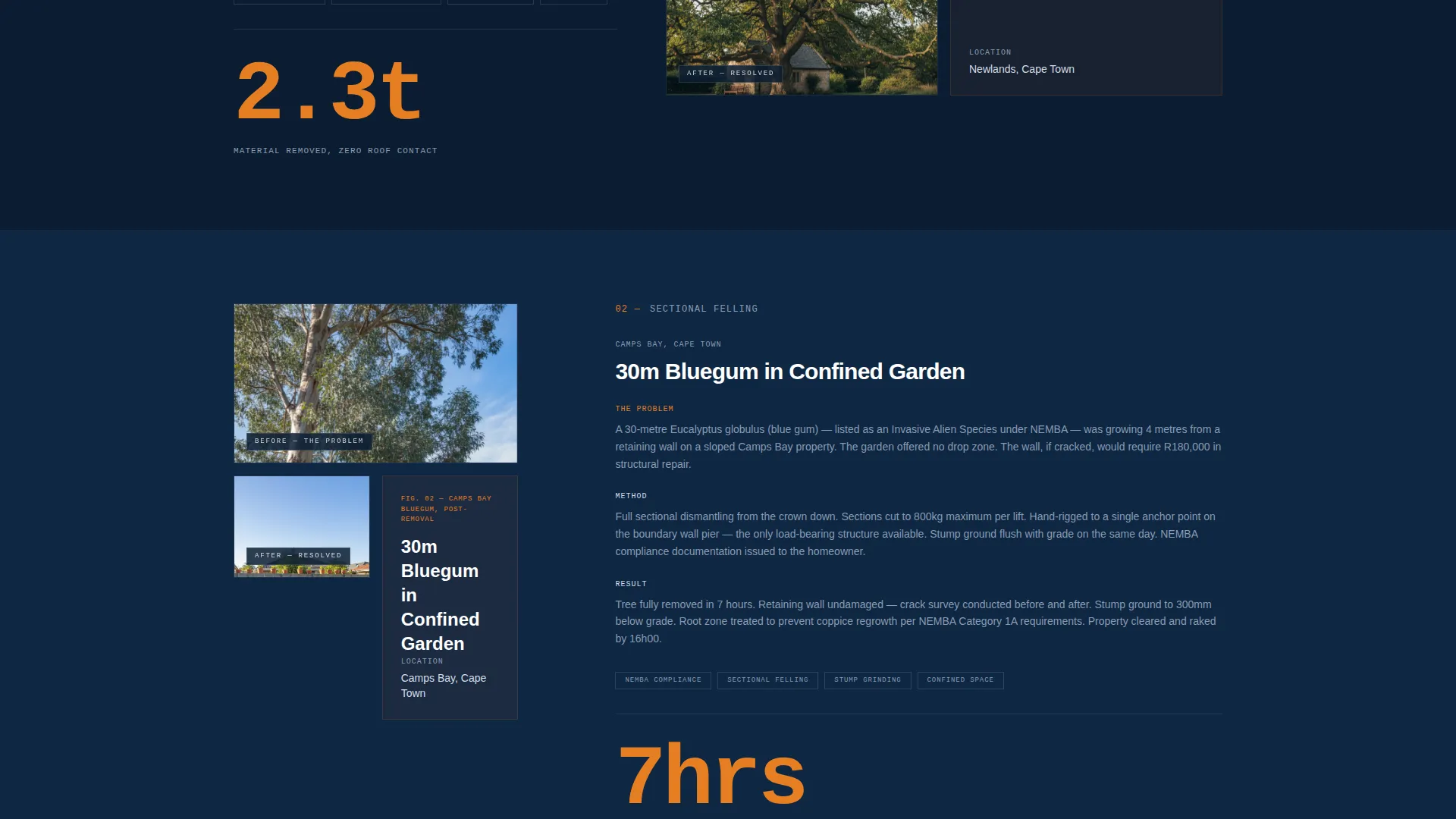Precision Arborist | Free Website Template | Rocket