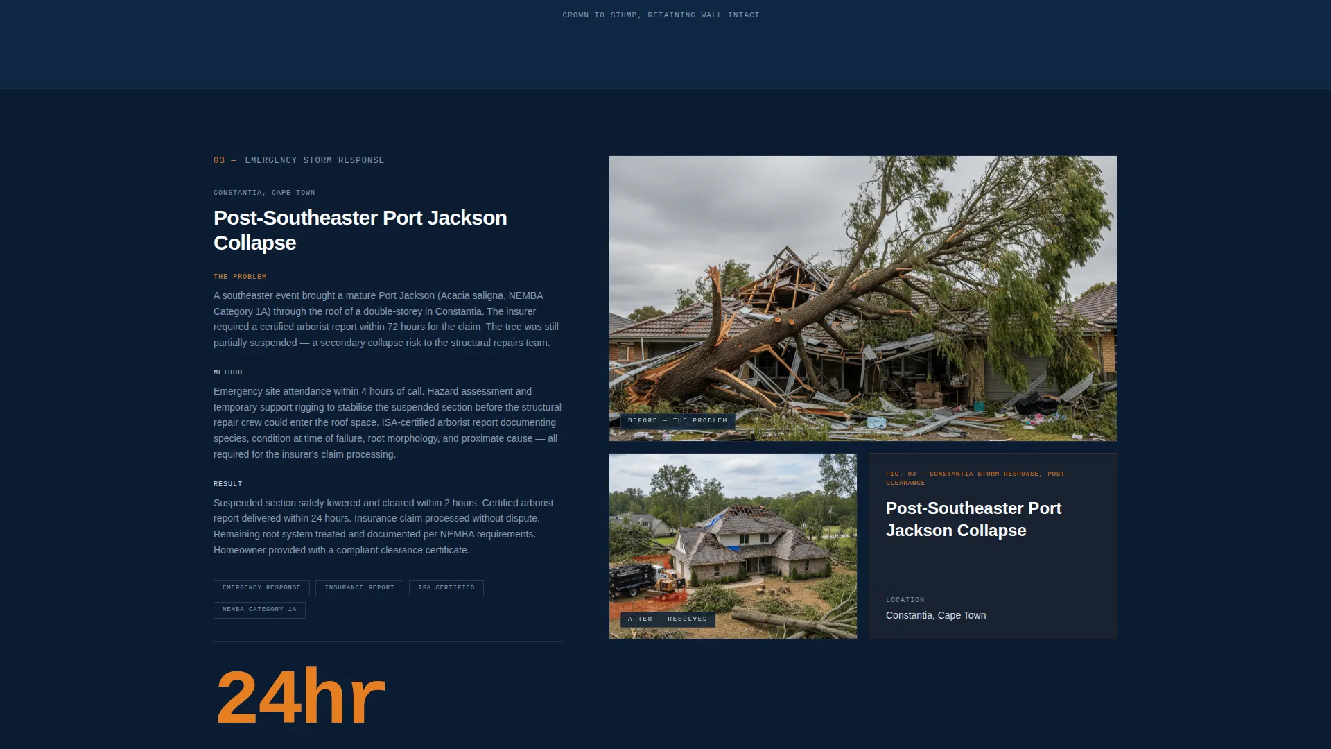 Precision Arborist | Free Website Template | Rocket