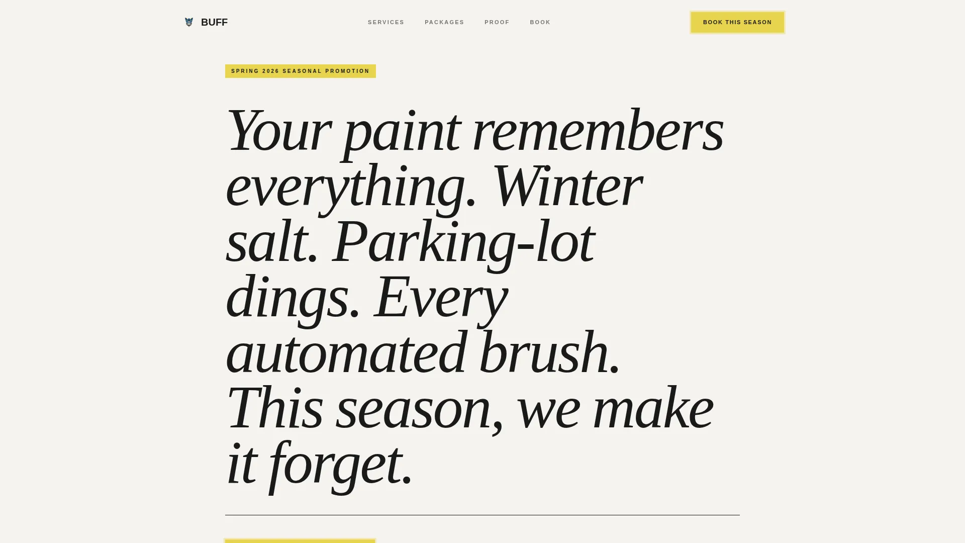 Car Detailing Marketing Specialist Booking Website Template