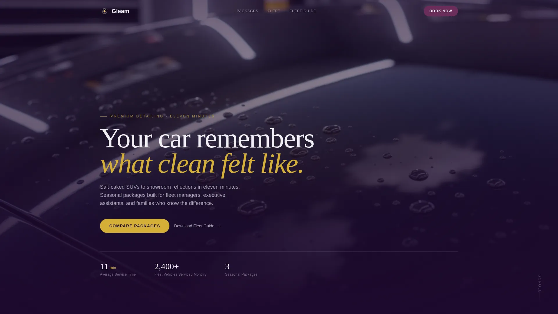 Executive Car Wash Seasonal Promotion Landing Page