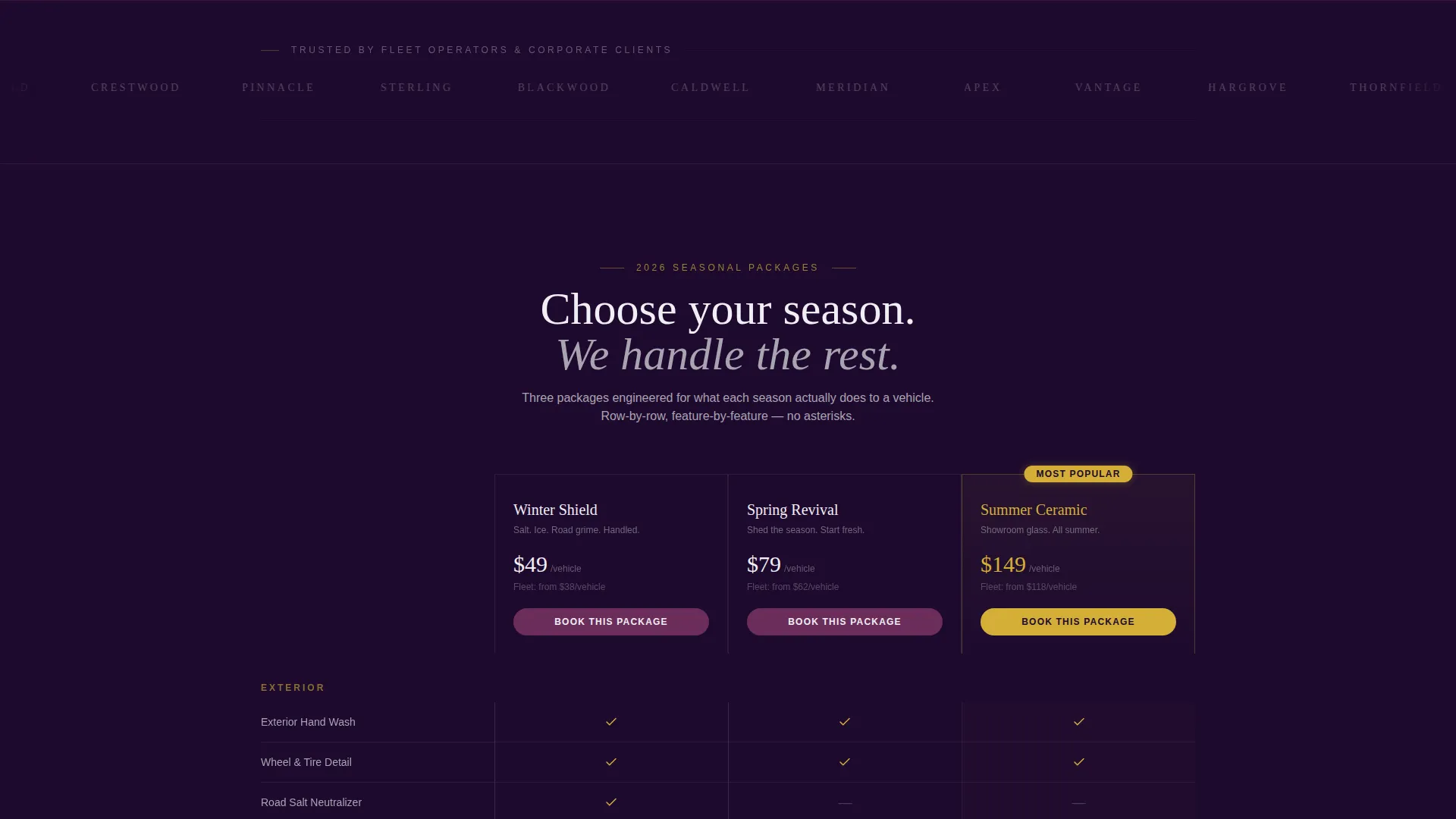 Executive Car Wash Seasonal Promotion Landing Page