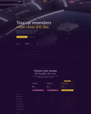 Executive Car Wash Seasonal Promotion Landing Page