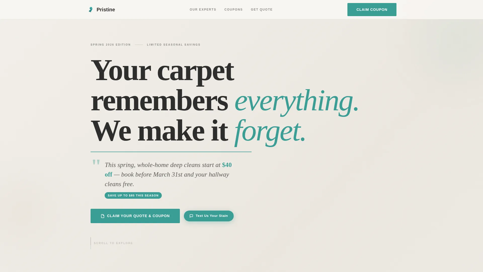 Carpet Cleaner Marketing Booking Website Template