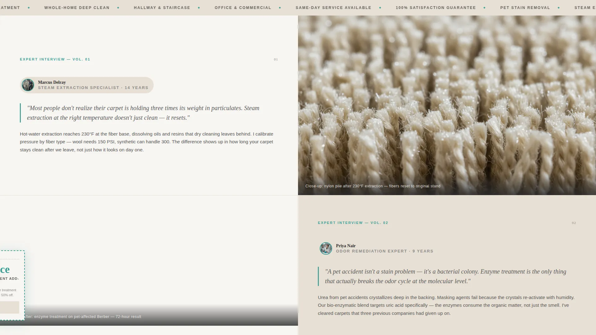 Carpet Cleaner Marketing Booking Website Template