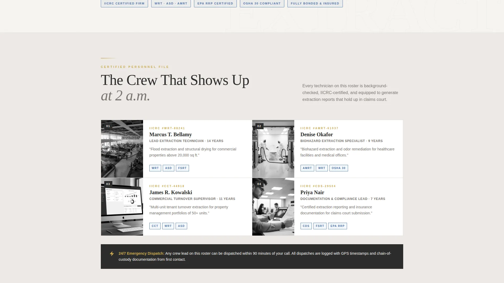 Carpet Cleaner Marketing Professional Website Template