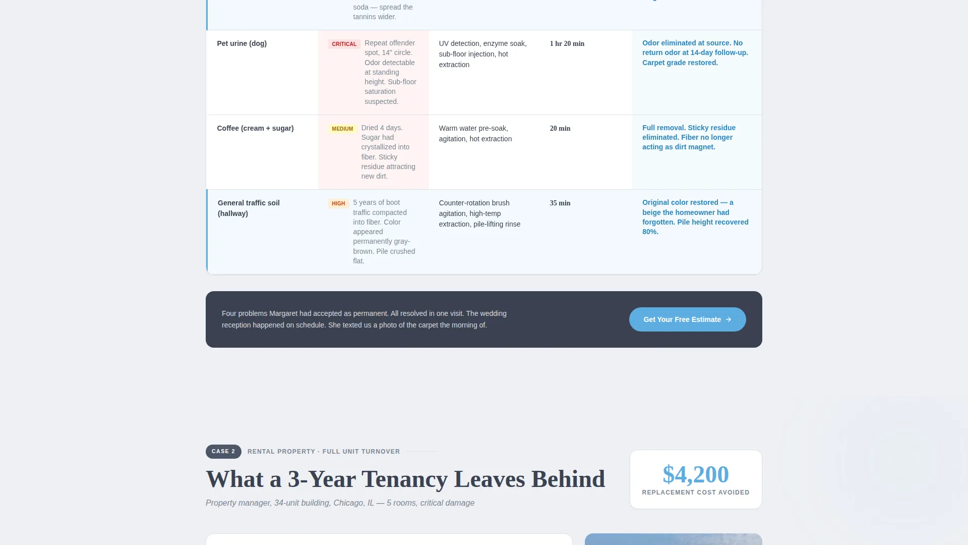 Carpet Cleaner Marketing Specialist Booking Website Template