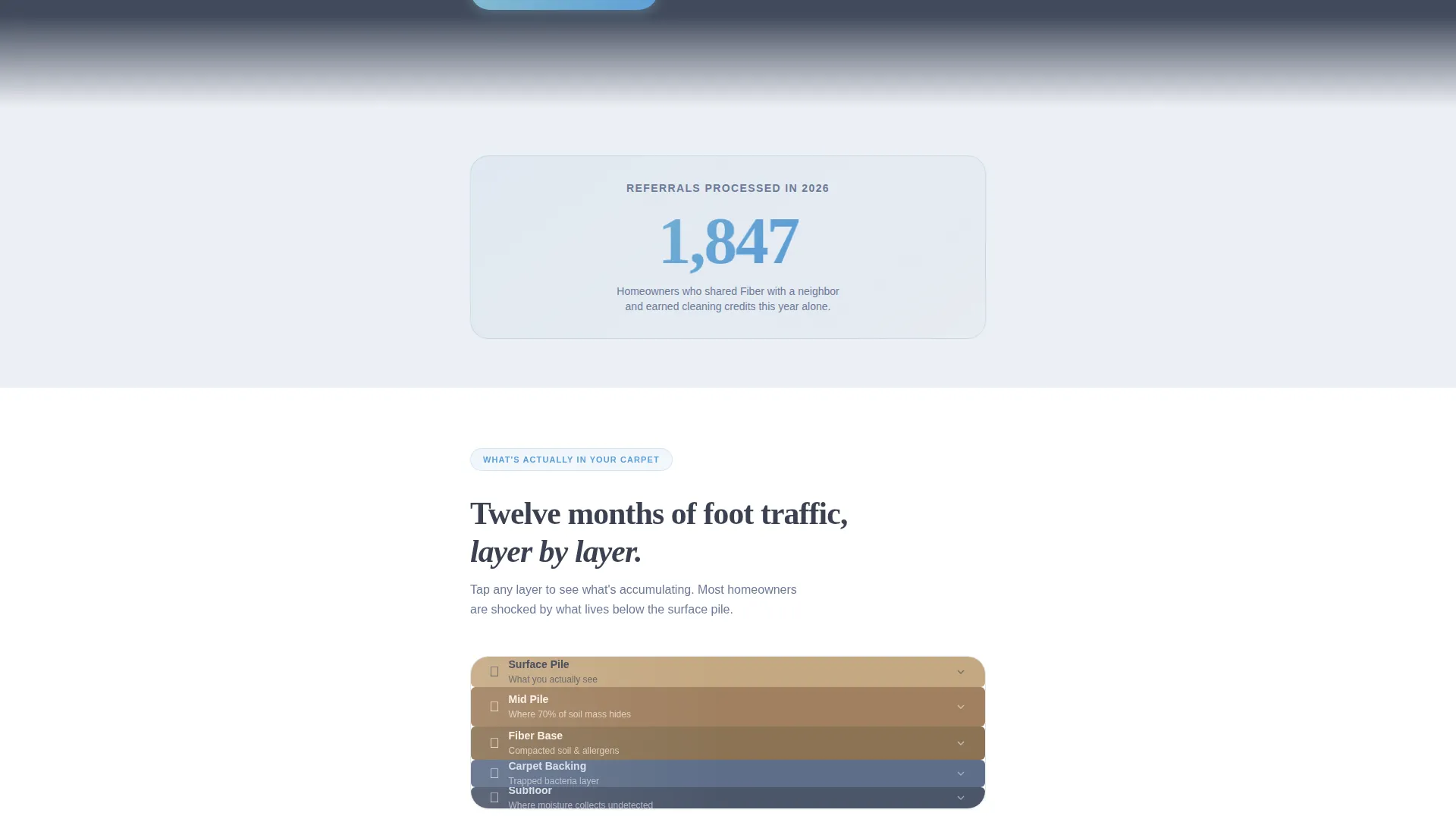 Carpet Cleaner Marketing Reviews Website Template