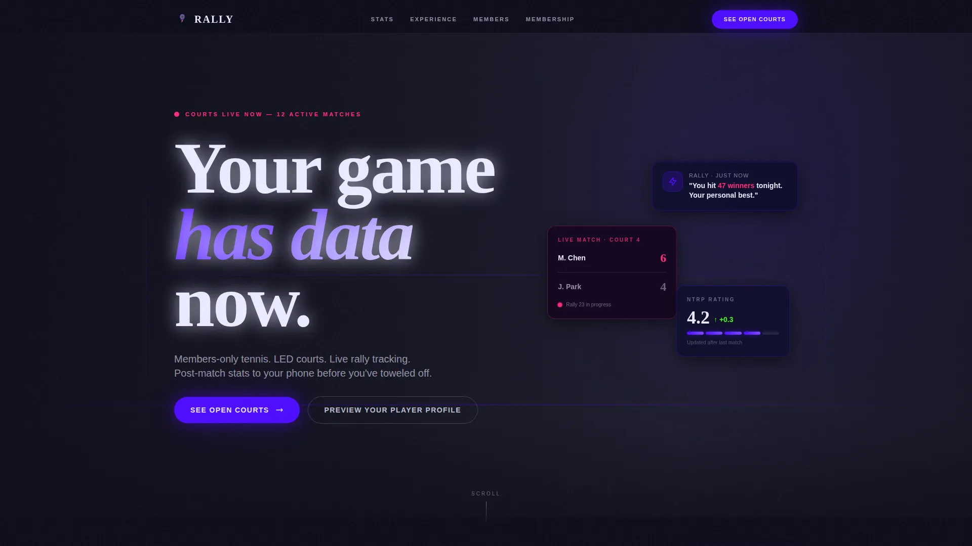 Dominating Racket Sports Landing Page Template