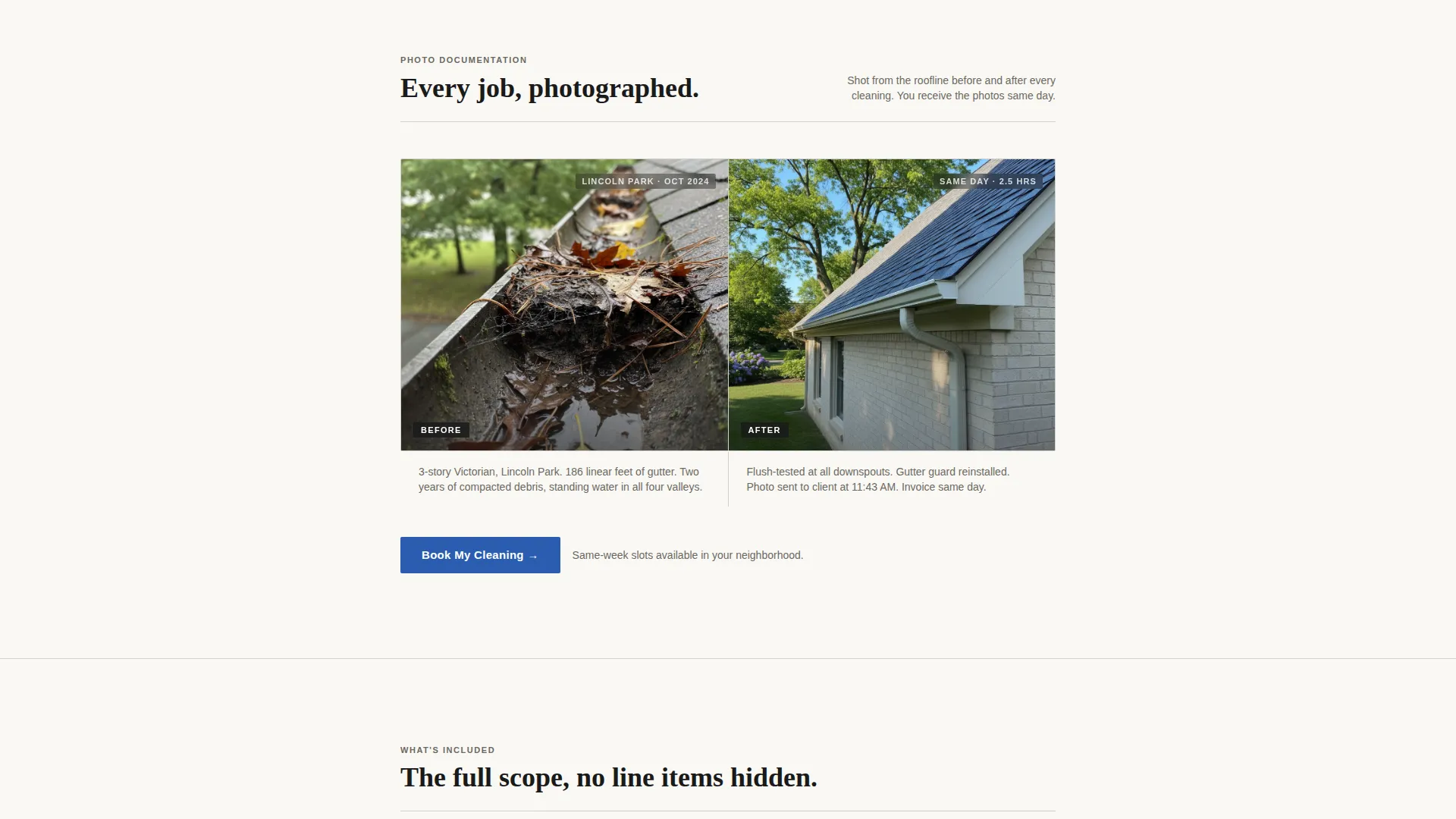 Authoritative Chicago | Free Website Template | Rocket