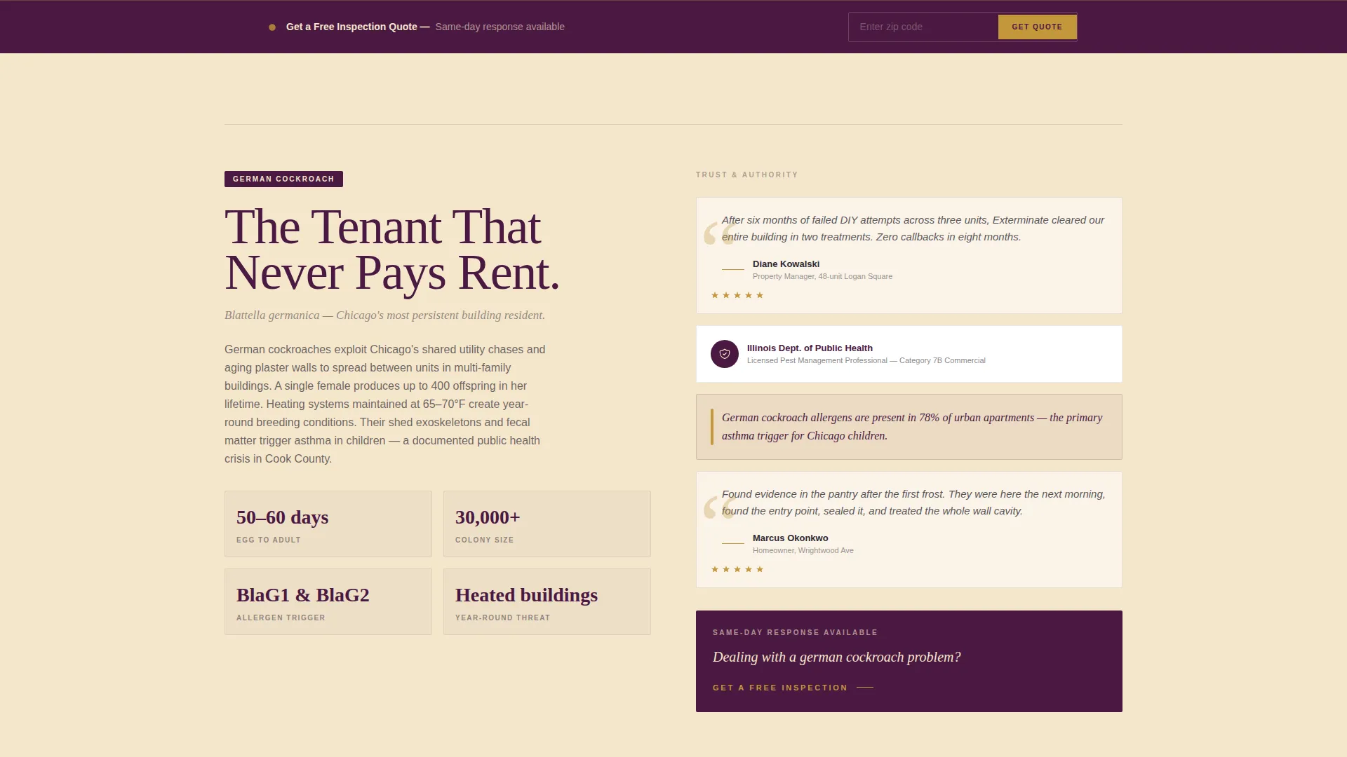 Authoritative Pestcontrol | Free Website Template | Rocket