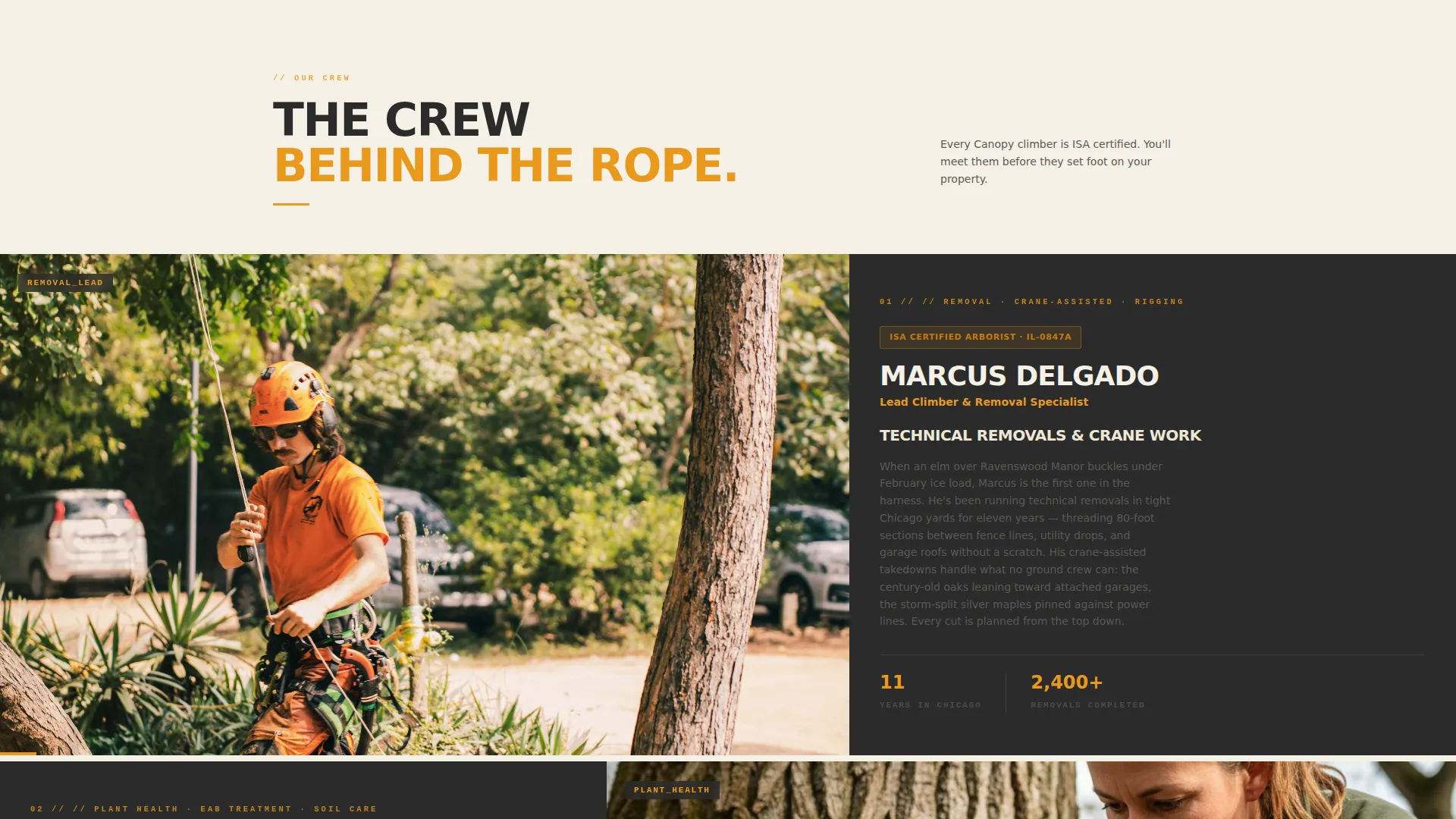 Certified Tree Service | Free Website Template | Rocket