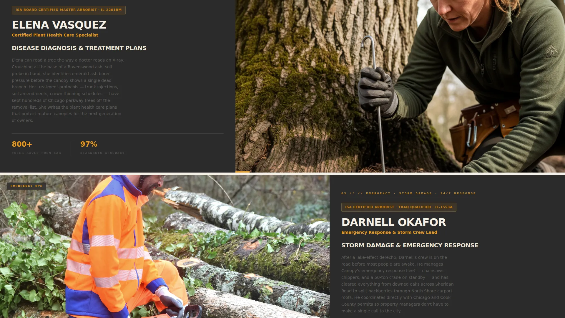 Certified Tree Service | Free Website Template | Rocket